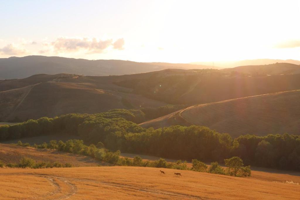 Agriturismo Fattoria Lischeto Volterra Eksteriør bilde